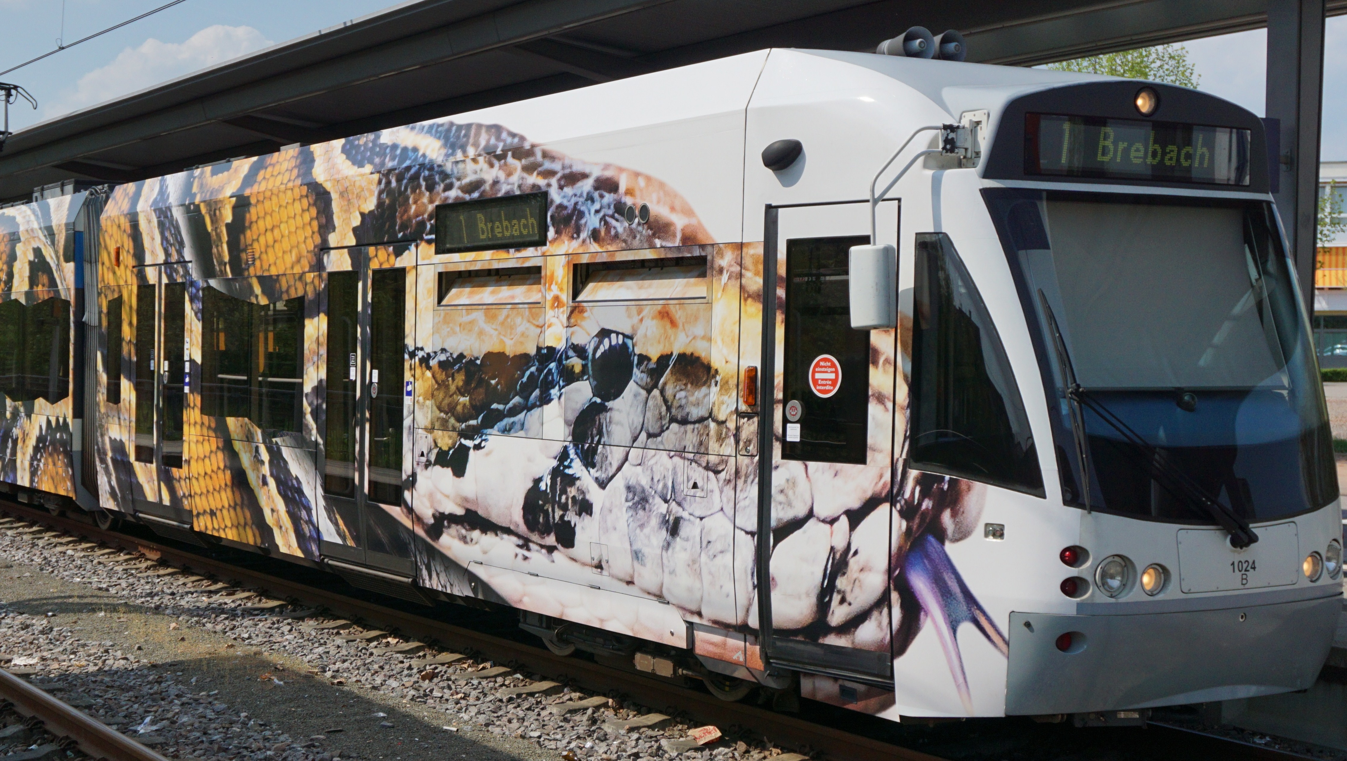 Zoo Bahn Saarbahn mit Zoo - Motiv